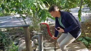 Video 113 one horny day - part 2