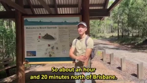 Video 300 mount coochin