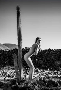 I think this one s too big