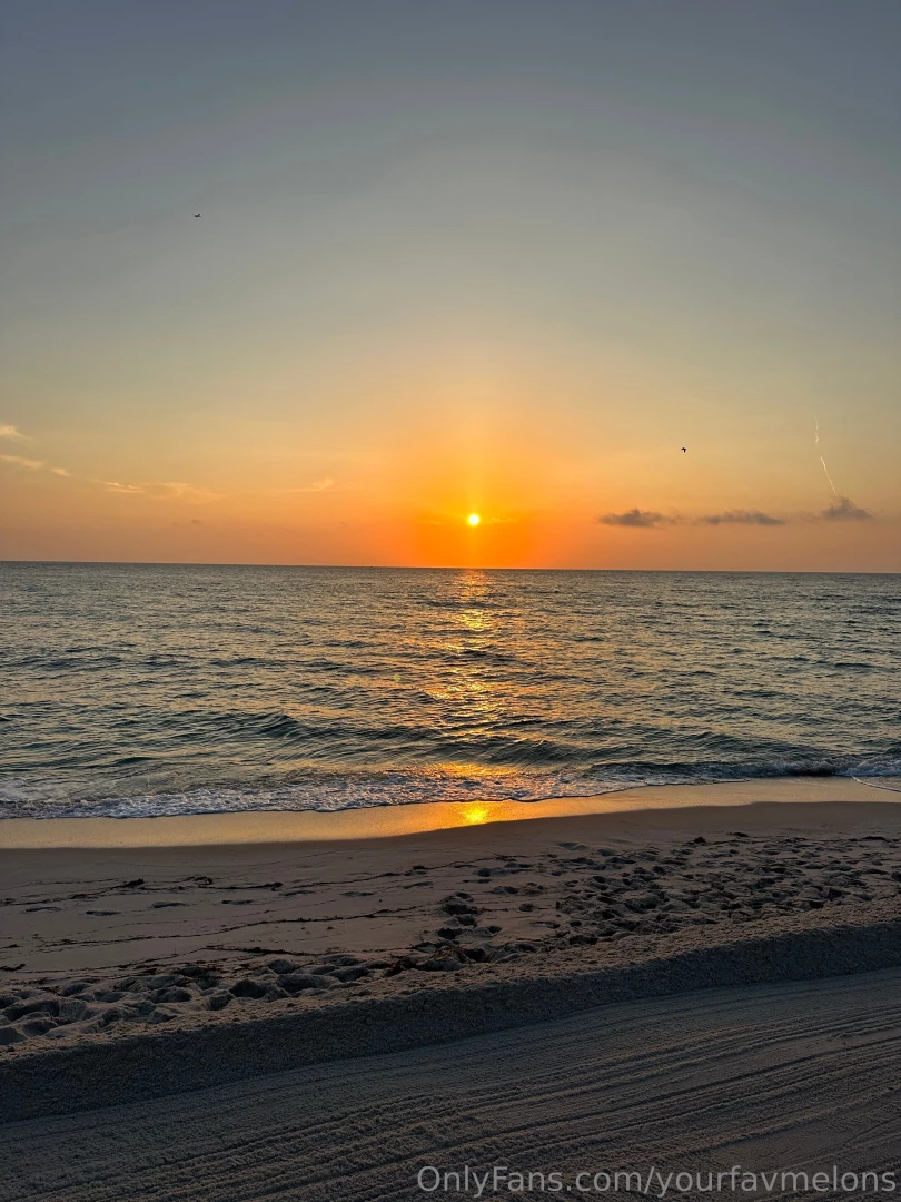 Yourfavmelons1 part 2537839 