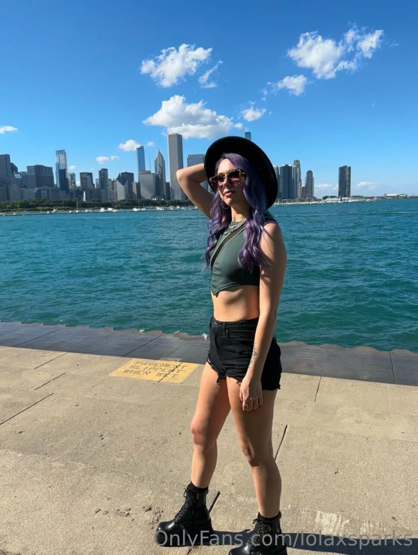 Chicago the vibrant windy city situated on the shores of lake michigan part 1 