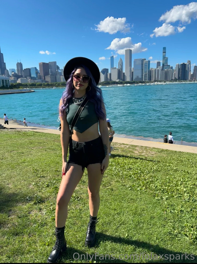 Chicago the vibrant windy city situated on the shores of lake michigan 