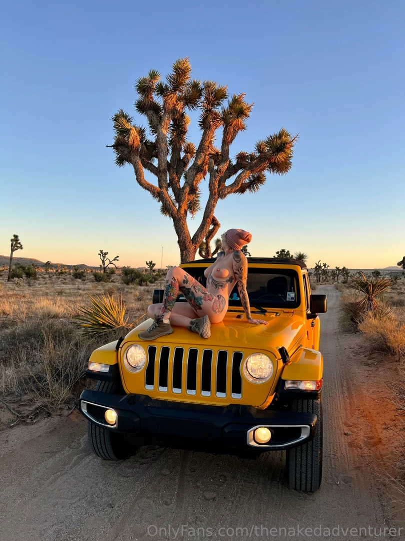 Joshua tree and the jeep part 1 