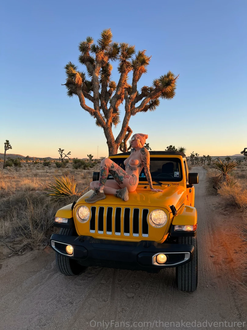 Joshua tree and the jeep 