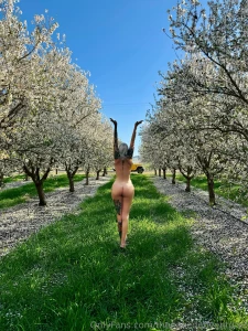 Still can t get over the beauty of this almond orchard