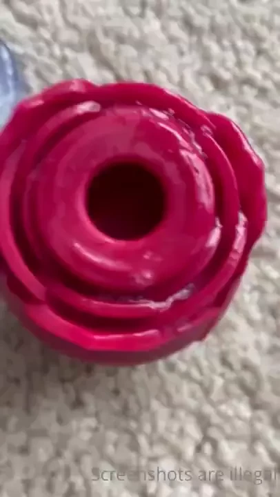 Morning afternoon all day nuts 