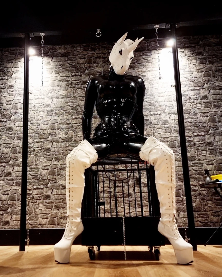 More rubber pony pictures 