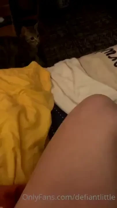 So i guess cats play fetch now hmm how could i ever say no to this 