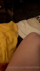 So i guess cats play fetch now hmm how could i ever say no to this