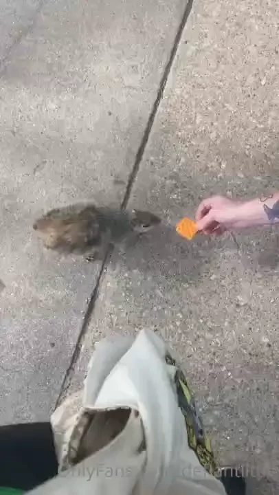 Omg the cutest thing ever happened today i got to feed squirrels they part 1 