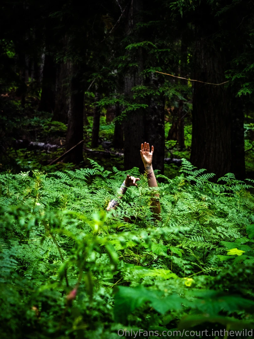 I had a dream last night that i had actual wings like a real life part 5 