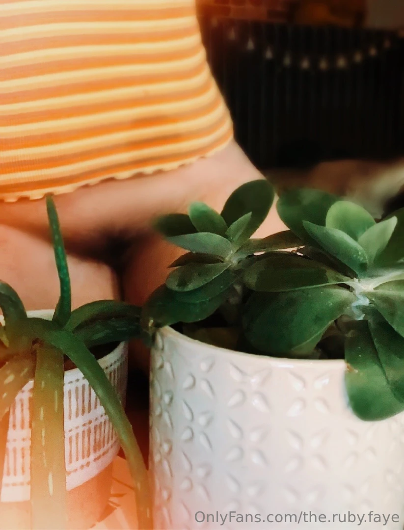 Plant appreciation post 2 part 1 