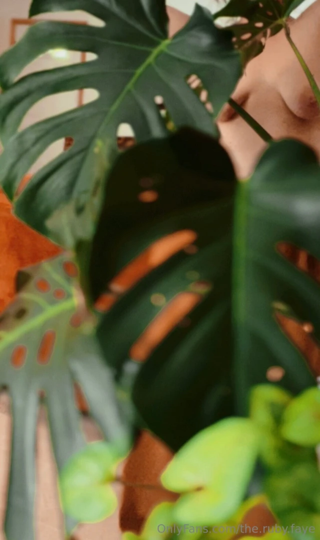 Plant appreciation post 3 