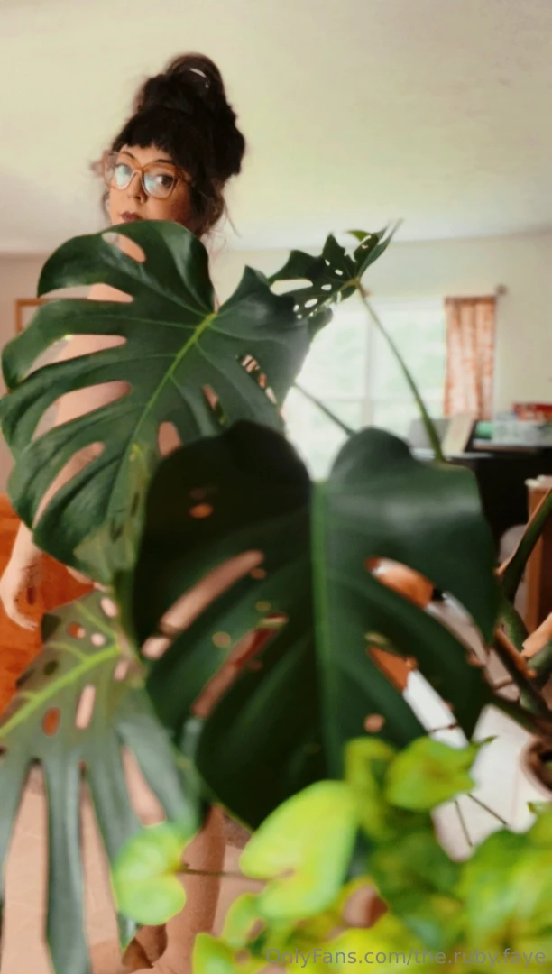 Plant appreciation post 3 part 1 