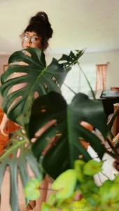 Plant appreciation post 3 part 1