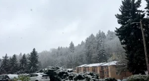 Winter wonderland have you got any snow where you live