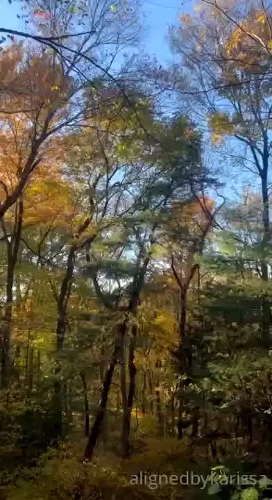 Beautiful cabin i stayed in during my trip being surrounded by the 