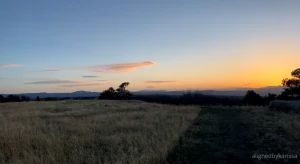 Went to the beautiful mountains of colorado i am so grateful to be