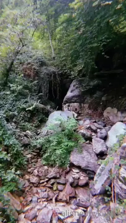 A cute reel i made of my time in northern italy i miss it already do 