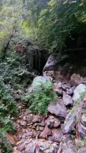 A cute reel i made of my time in northern italy i miss it already do