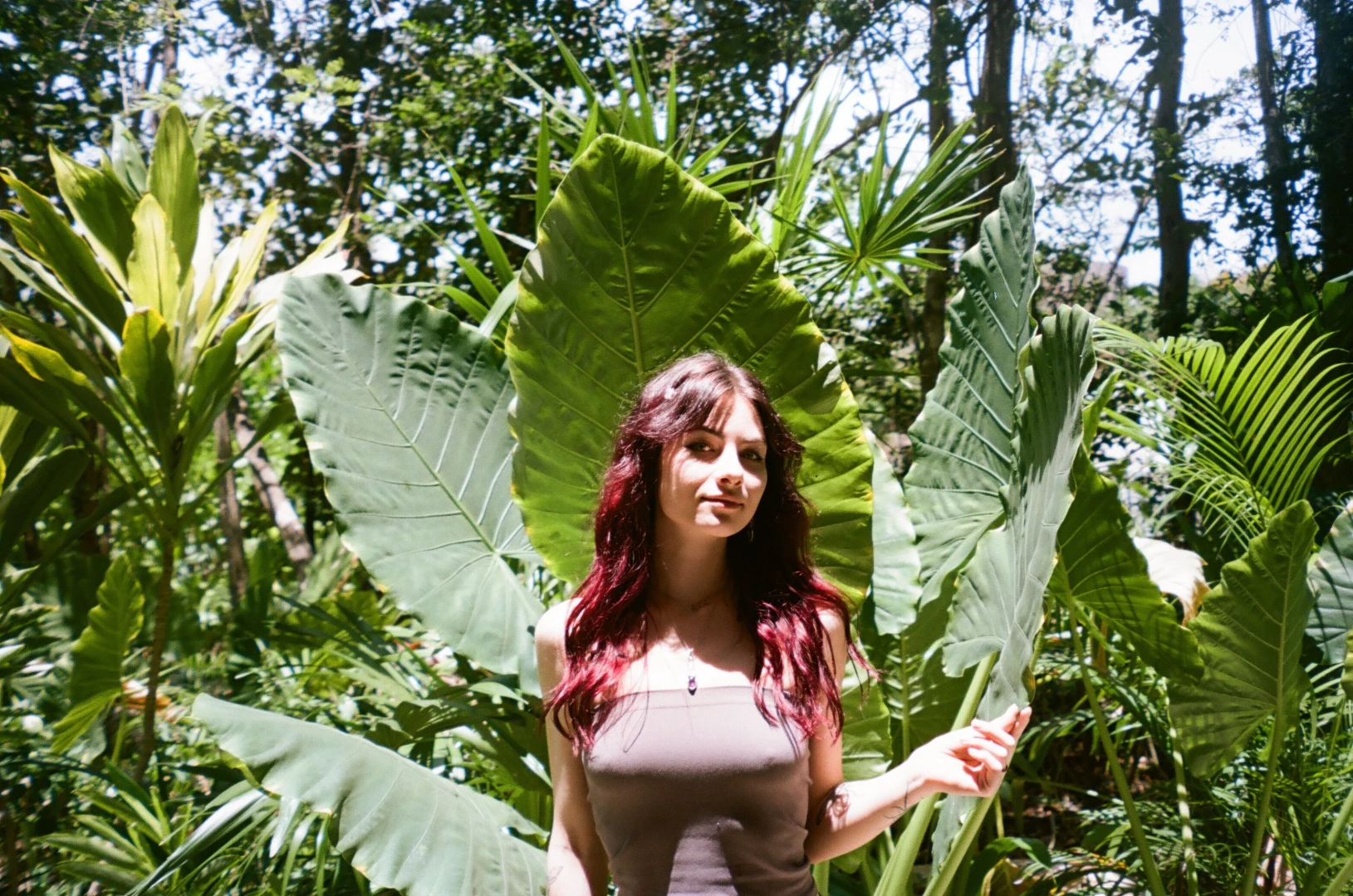 In the jungle part 3 