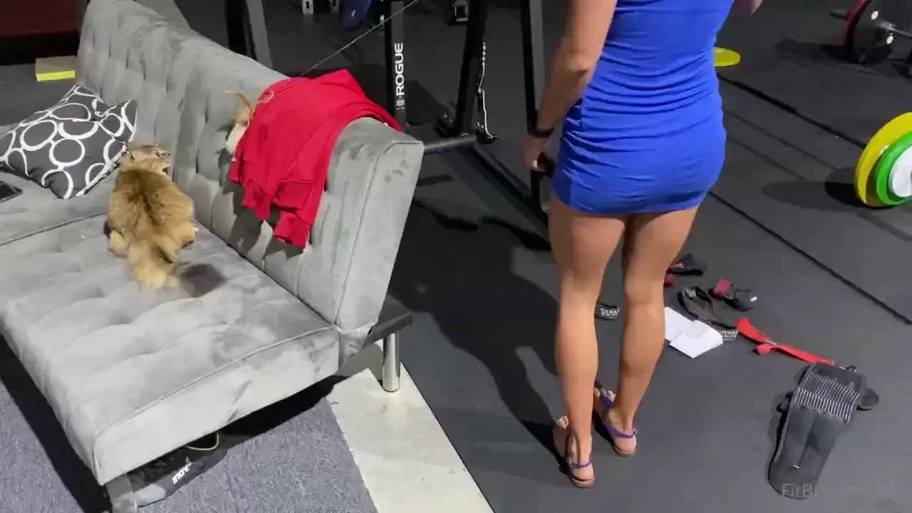 After a good dinner sometimes we pop by the gym and say hi to lb and 