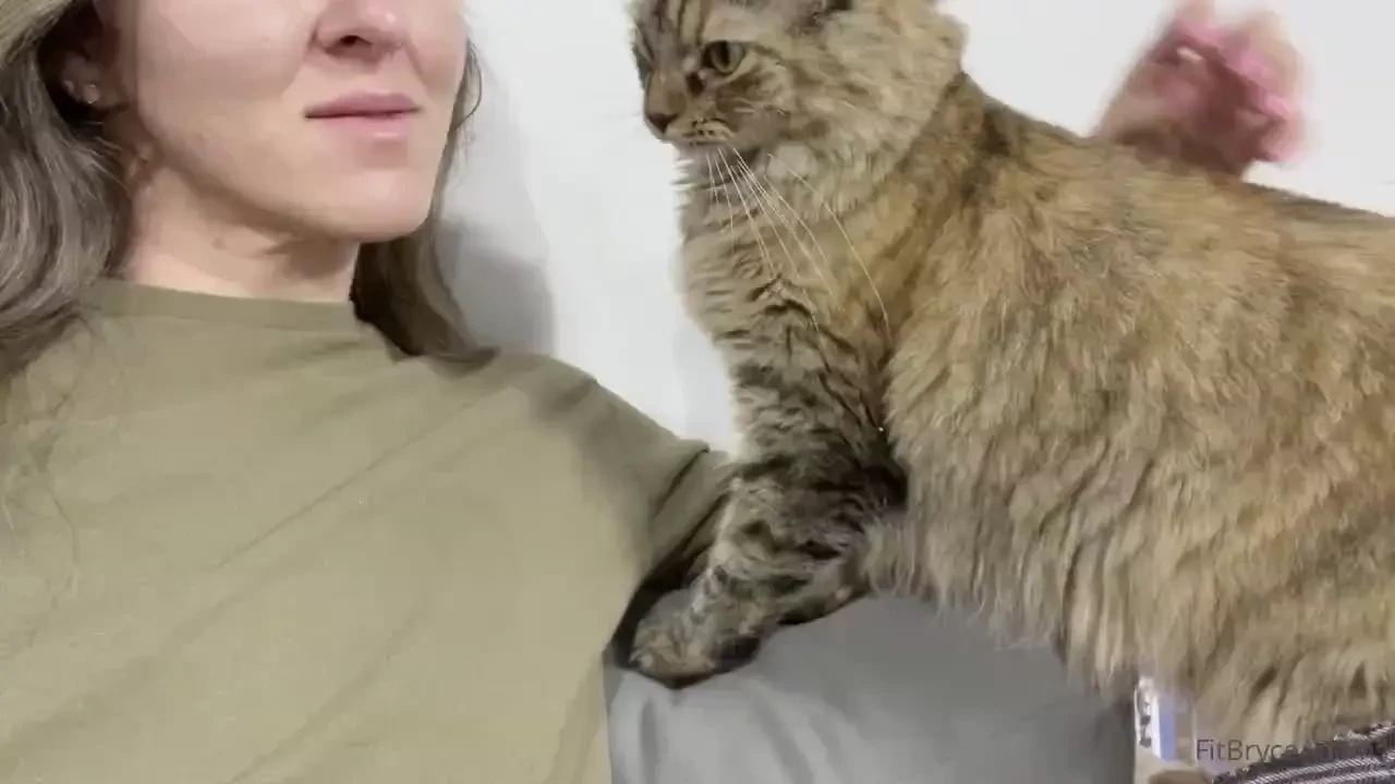 Time for a formal intro to lb my rescue kitty that lives in my gym 