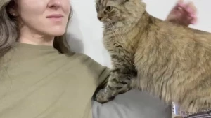 Time for a formal intro to lb my rescue kitty that lives in my gym