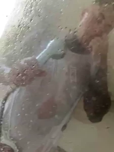 Prohibidocopiar1 part 61