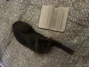 Reading with willi is just so chill for real it so relaxing