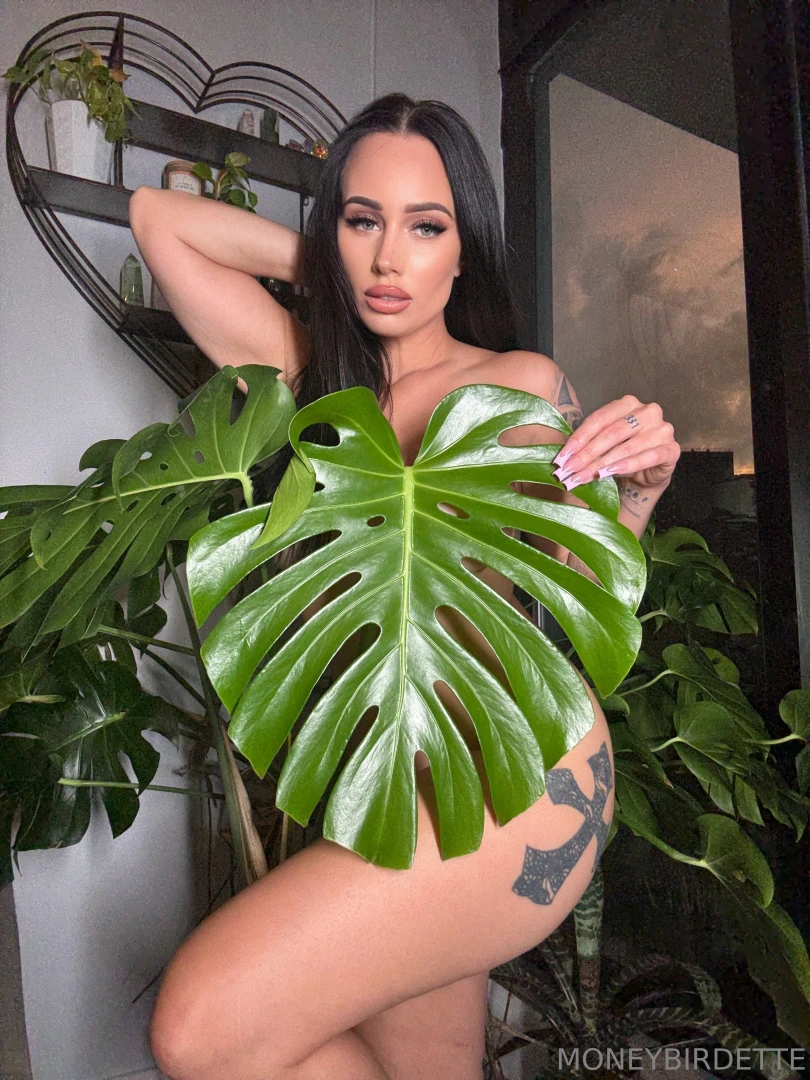 D eep in the jungle draped in nothing but wild desire and soft part 2 