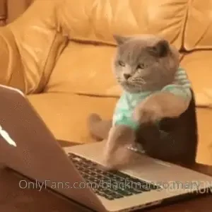 Hi guys sorry but the onlyfans is not well today lags takes a long 