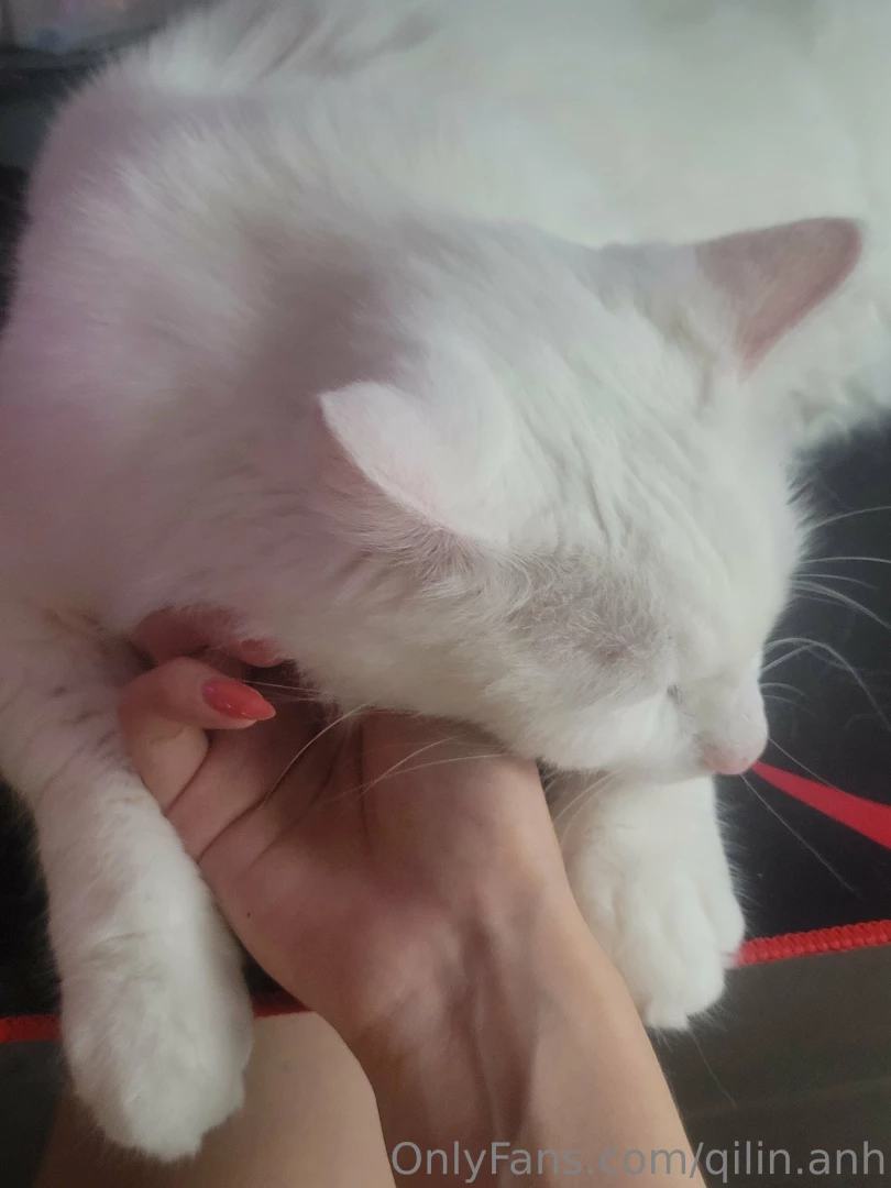 I notice that i missed some messages that never showed up on the top 