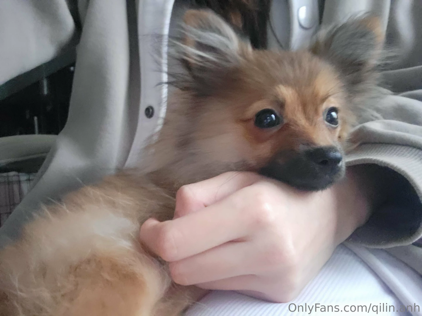 I sent a topless and booty cyber monday set for sale into your dms it part 1 