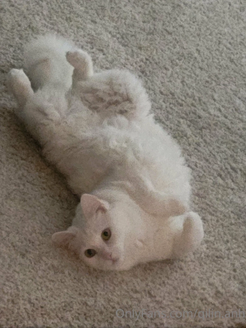 I ll be dropping ppv tomorrow sorry for taking a long break hope u 