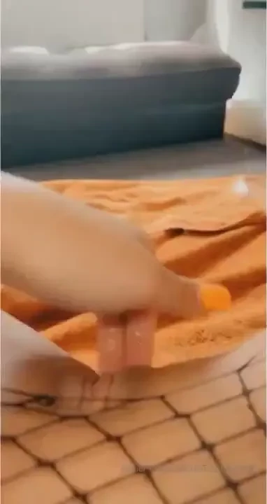 My filthy friend made her page free moreofscarlet moreofscarlet part 21 