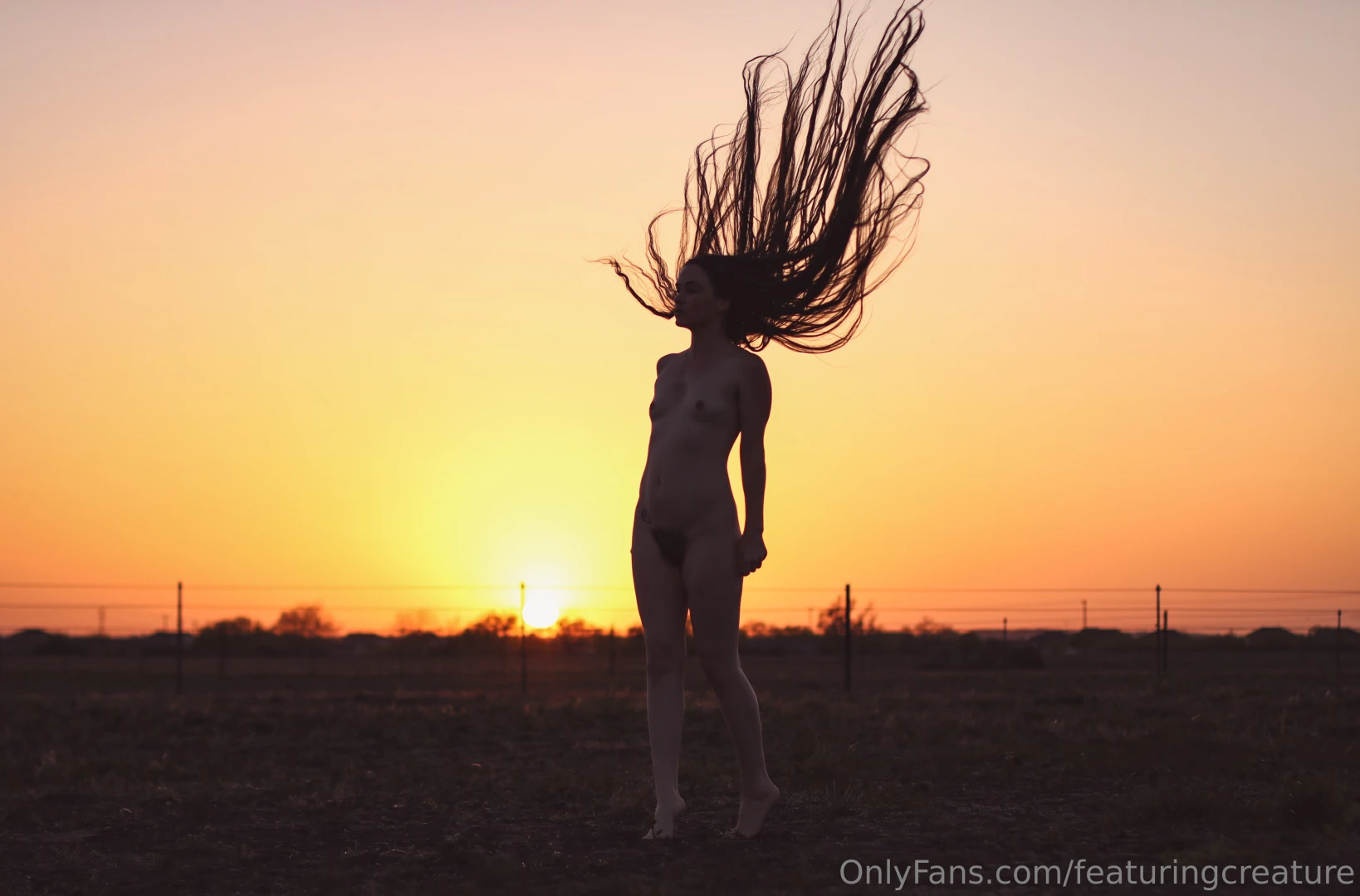 Tentacles at sunset part 2 