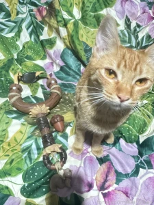 Who is my next cosplay character part 1