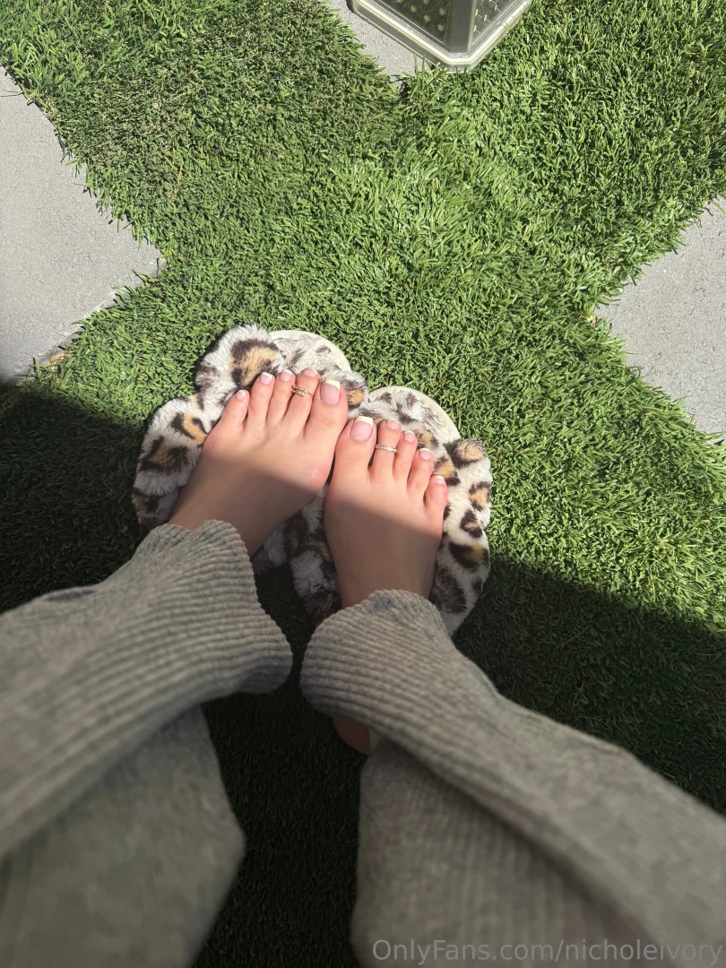Yellow tips photo dump part 1 