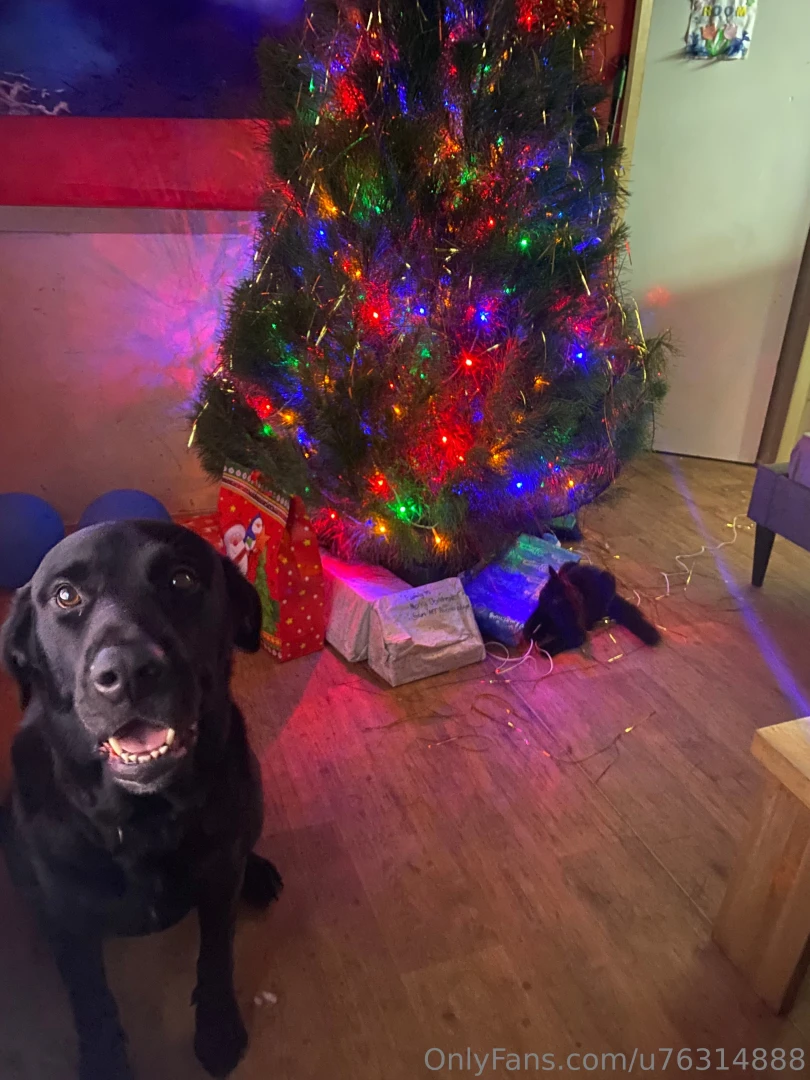 This is wednesday our new kitten isn t she just the cutest she is a part 1 