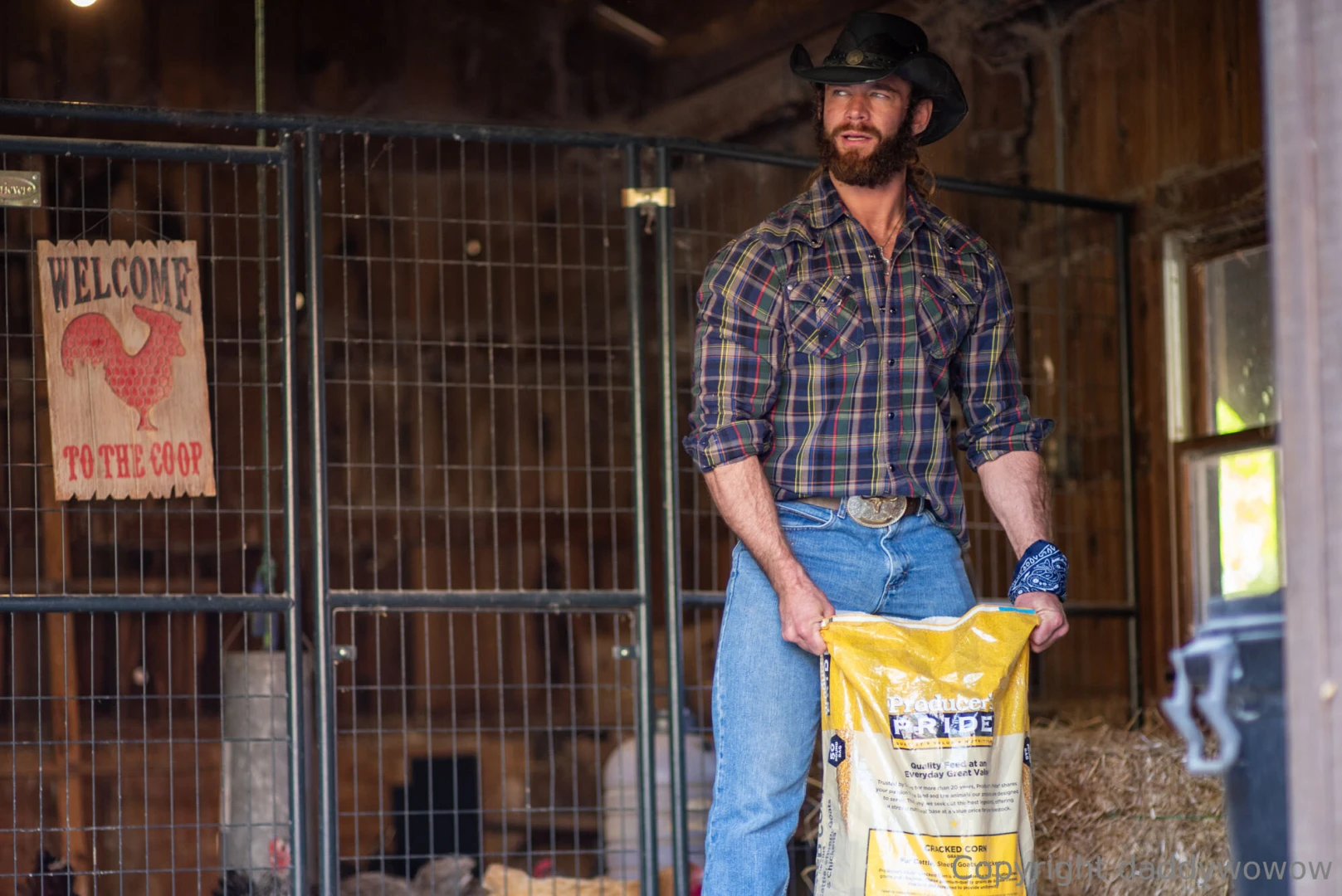 One of my duties on the ranch includes feeding the chickens and they part 3 