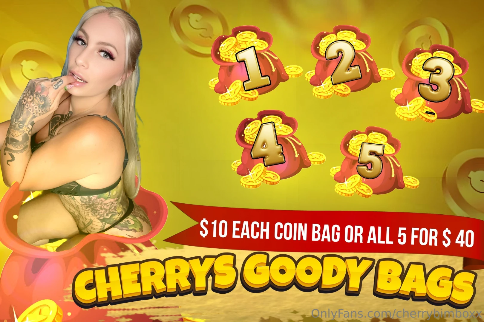 Cherrys goody bag 10 each or all for 40 bags include solo bg lesbian 