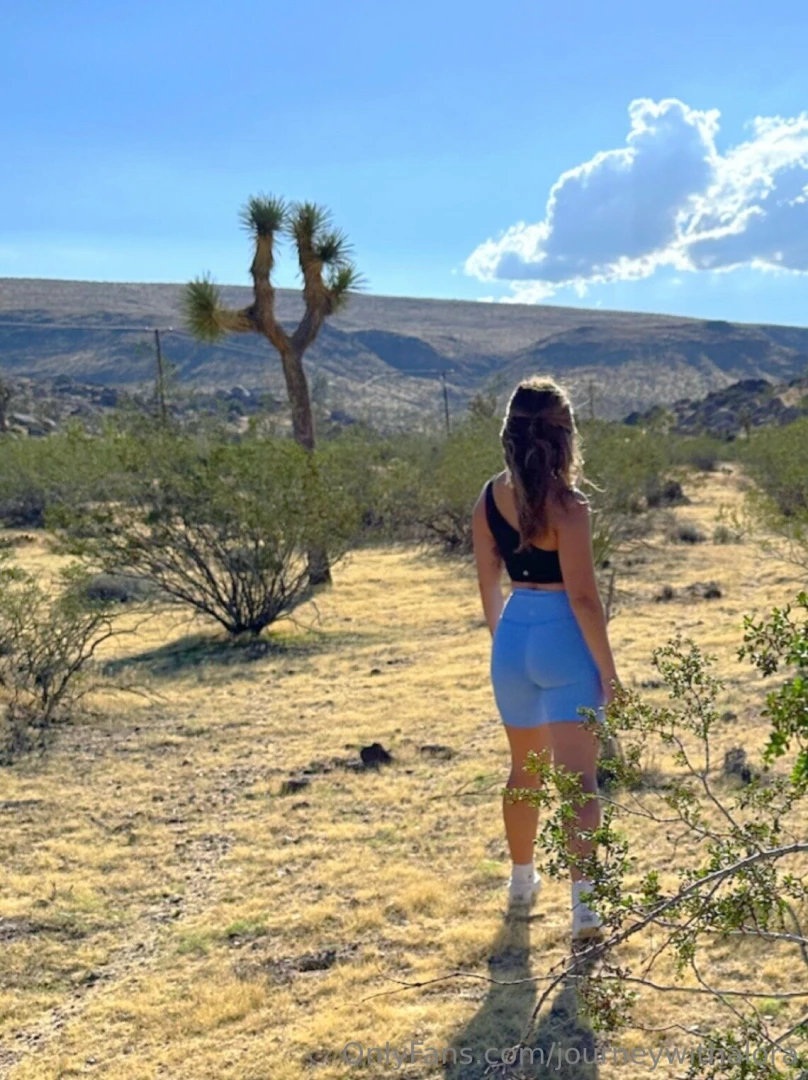 journeywithalora1 - Captivated by joshua tree s unique charm did you know that the park 