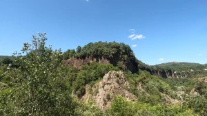 Another thrilling day soaring through the skies on the zipline pure