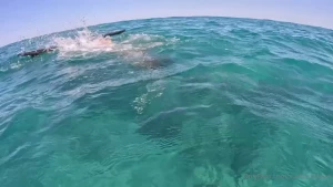 The ocean cures me