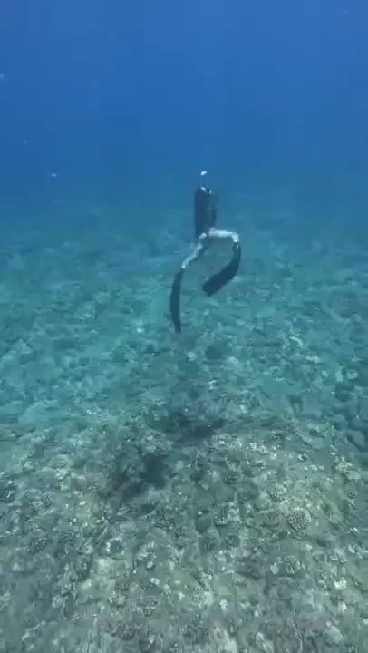 Do you like my underwater dance i can t wait to share more of this and 