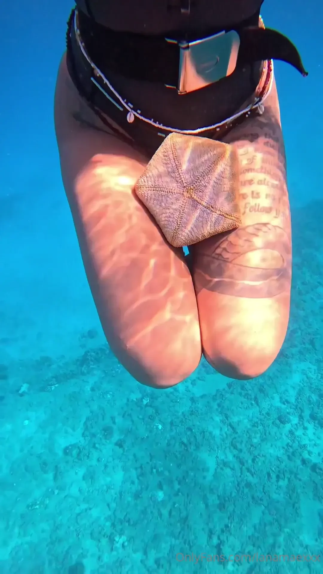 I want to show you my little starfish 