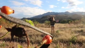 Here s another little tiddie flash from new zealand - where s your