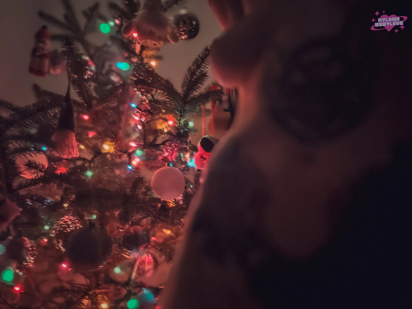 Enjoy some festive photos part 1 