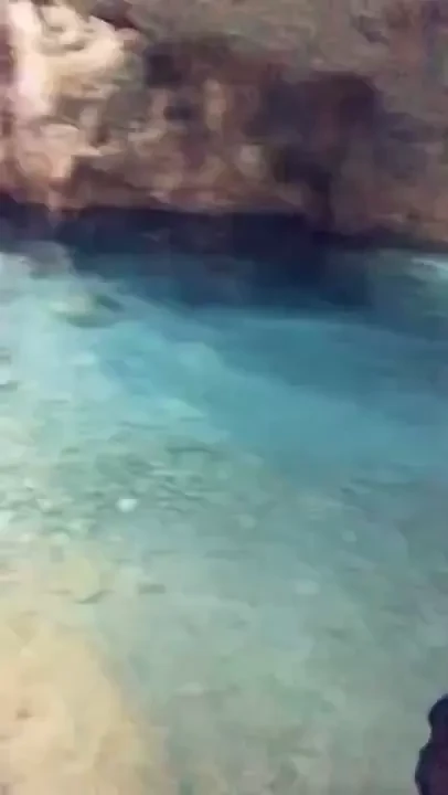 Went to a cenote today in mexico 